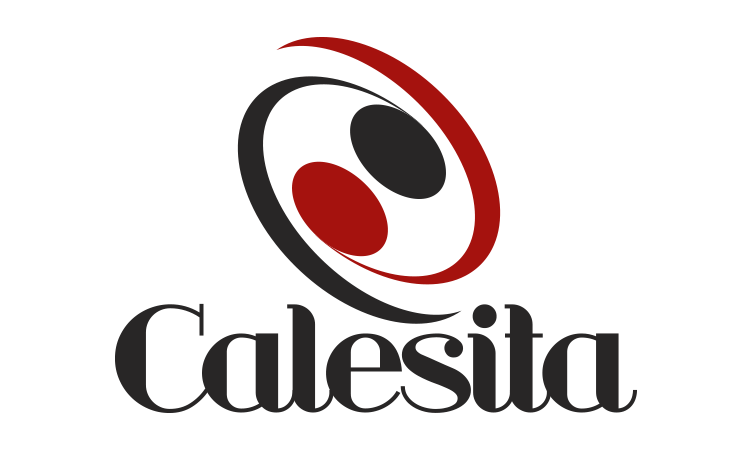 2logo calesita